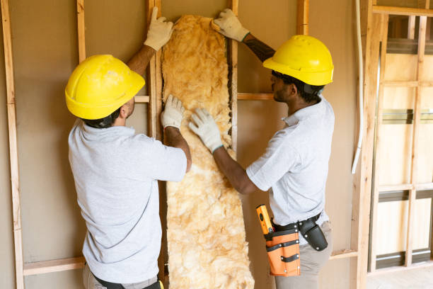 Types of Insulation We Offer in Oldsmar, FL